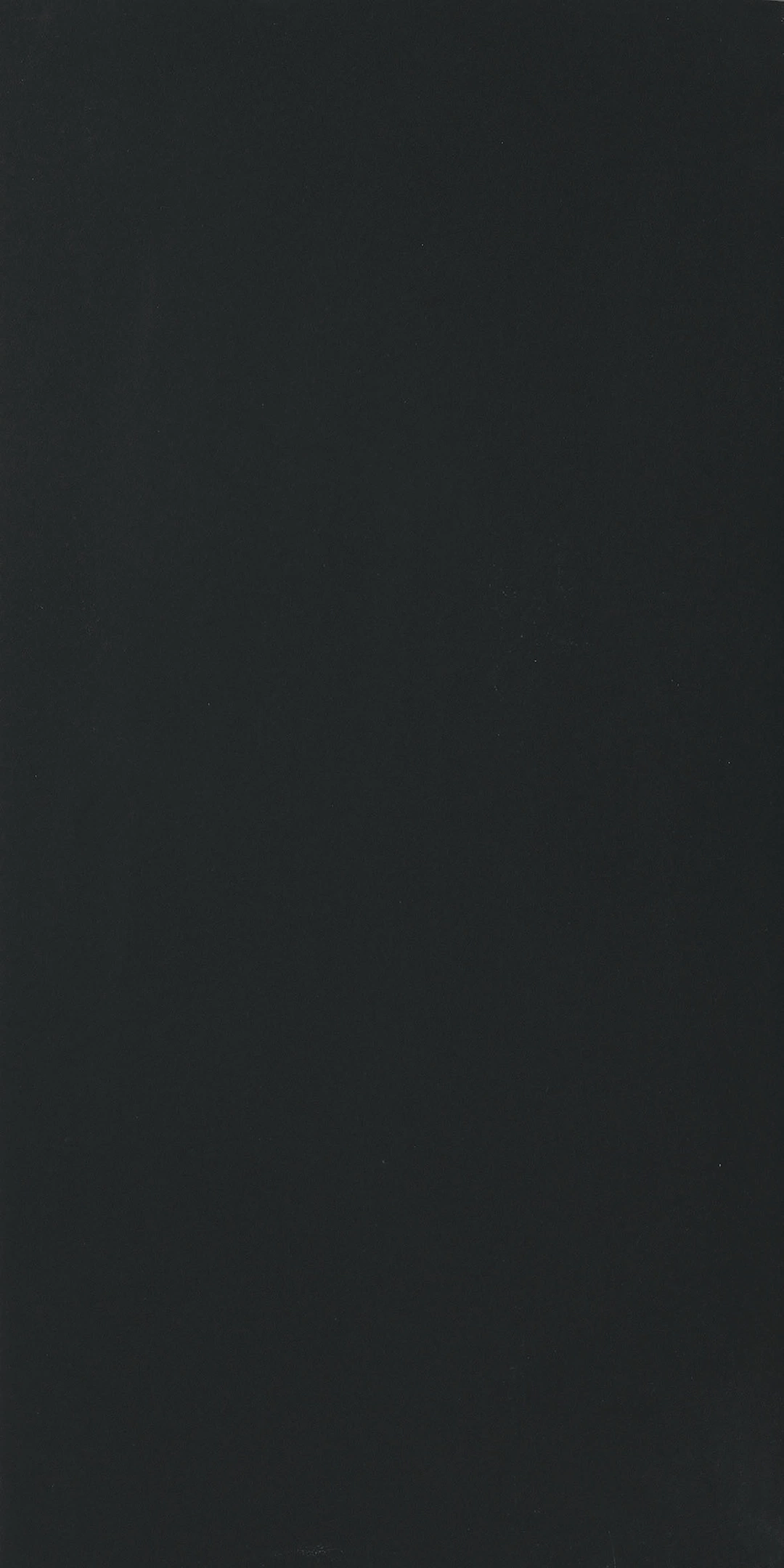 Florim Color Black porselen plaka — siyah yüzey deseni