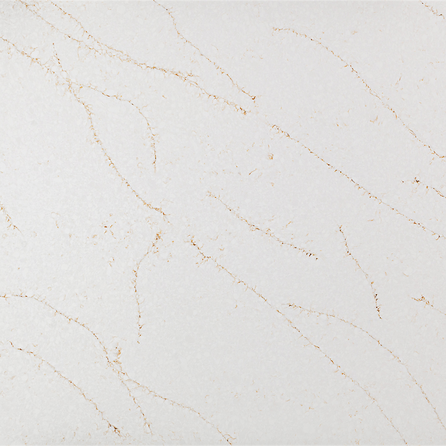 Coante Calacatta Aurora Gold Essence yüzey detayı