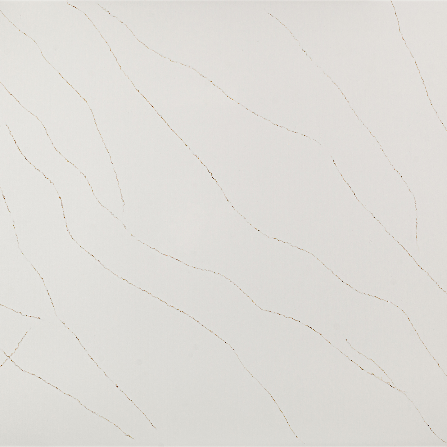 Coante Calacatta Solara Gold Essence yüzey detayı
