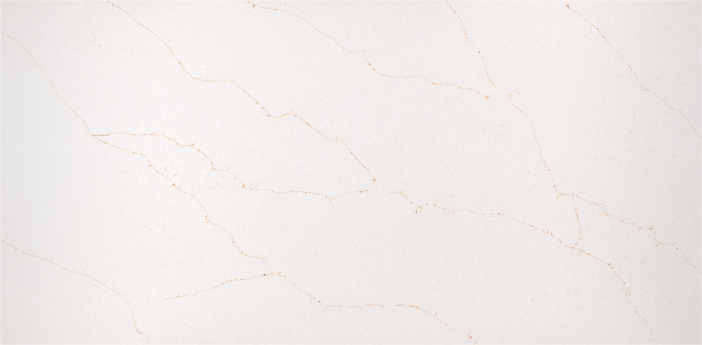 Coante Calacatta Vivaldi Gold Essence tam plaka görünümü